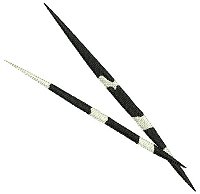 Image of 2quills1200.jpg
