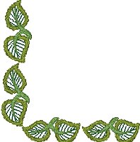 Image of border03b.jpg