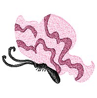 Image of butterfly06.jpg