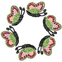 Image of butterfly23.jpg