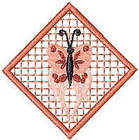 Image of butterfly29.jpg
