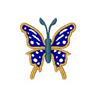 Image of butterfly31.jpg