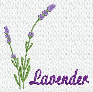 Image of idea03300.jpg