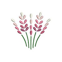Embroidery design of 5 pink and white flowers
