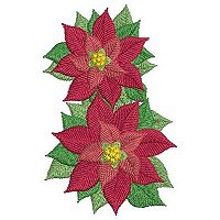 Image of inapoinsettias02.jpg