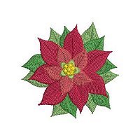 Image of inapoinsettias04_big.jpg