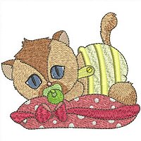 Image of ipetbabykitty10200.jpg