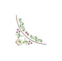 Image of iqbc204cnr1200.jpg