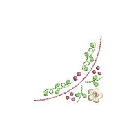 Image of iqbc204cnr2200.jpg
