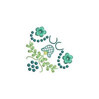 Image of iqbc206cnr1200.jpg