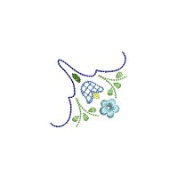 Image of iqbc209cnr2200.jpg