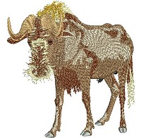 Embroidery design of a black wildebeest also known as a gnu.