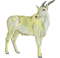 Embroidery design of an eland antilope.