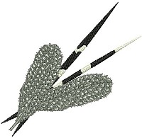 Embroidery design of two porcupine quills and two guinea fowls feathers together.