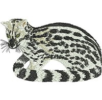 Embroidery design of a small spotted genet.