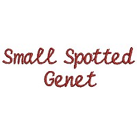 Embroidery design of the word 'Small Spotted Genet'.