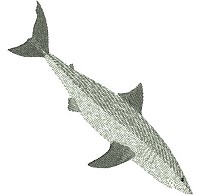 Embroidery design of a great white shark.