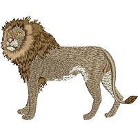 Embroidery design of a lion