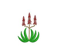 Embroidery design of an aloe plant.