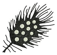 Guinea fowl feather embroidery design.