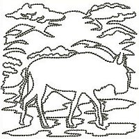 Image of petabbluewildbeest200.jpg