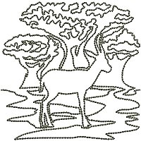 Image of petabimpala200.jpg