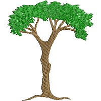 Image of petattree01200.jpg