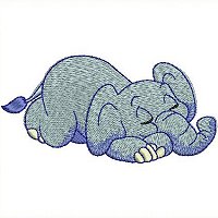 Image of petbabyelephant07200.jpg