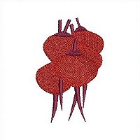 Image of petbeetbig200.jpg