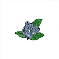 Image of petberries2200.jpg