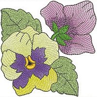 Image of petbloomflower02200.jpg