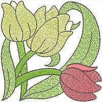 Image of petbloomflower07200.jpg