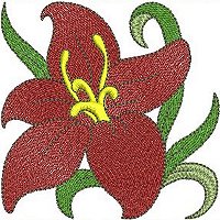 Image of petbloomflower11200.jpg