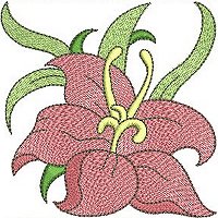 Image of petbloomflower12200.jpg