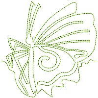 Image of petbutterflyborder01200.jpg