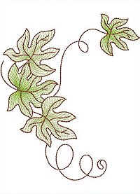 Image of petbutterflyleave03b200.jpg
