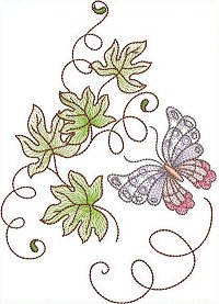 Image of petbutterflyleave05200.jpg