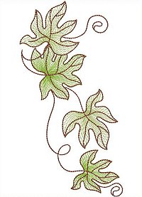 Image of petbutterflyleave06b200.jpg