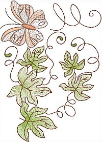 Image of petbutterflyleave07200.jpg