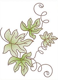Image of petbutterflyleave09b200.jpg