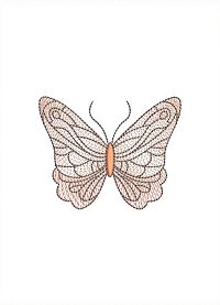 Image of petbutterflyleave10a200.jpg