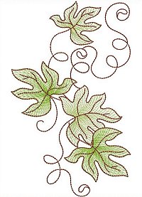 Image of petbutterflyleave10b200.jpg