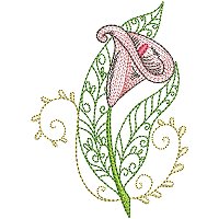Image of petcurlycallas01200.jpg