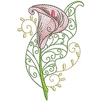 Image of petcurlycallas03200.jpg