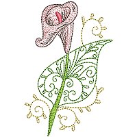 Image of petcurlycallas06200.jpg
