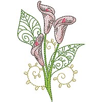 Image of petcurlycallas09200.jpg
