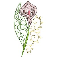 Image of petcurlycallas10200.jpg
