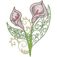 Image of petcurlycallas11200.jpg