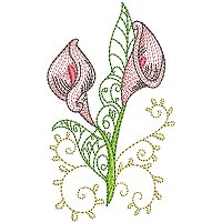 Image of petcurlycallas12200.jpg