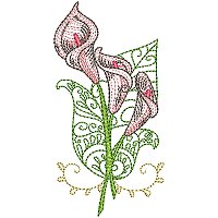 Image of petcurlycallas14200.jpg